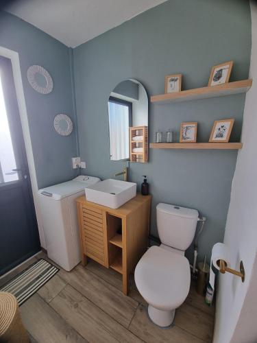 a bathroom with a toilet and a sink and a mirror at Studio Maison à Saint-Denis in Saint-Denis