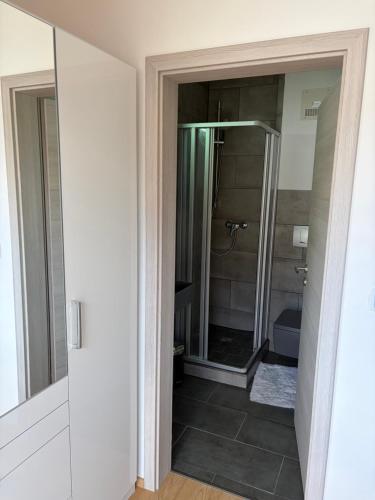a bathroom with a shower with a glass door at Ferienwohnung Alpensteinbock in Nesselwang