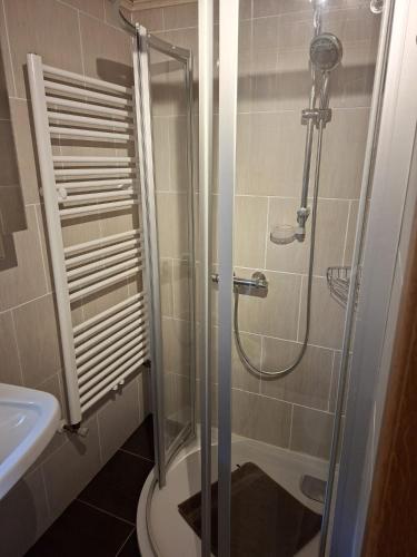 a bathroom with a shower and a toilet and a sink at Chalet an der Sonne nahe Klopeiner See und Petzen Bergbahn in Sankt Stefan