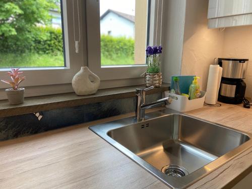 a stainless steel sink in a kitchen with a window at Kreide & Kissen in Lünebach