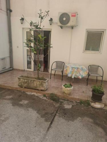 a patio with two chairs and a table and a plant at Harmony in Budva