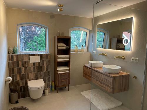 a bathroom with a toilet and a sink and a mirror at De Vechthoeve in Dalfsen