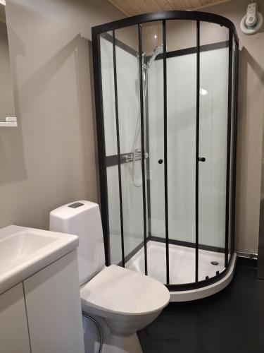 a bathroom with a shower with a toilet and a sink at Cottage in Raahe in Raahe