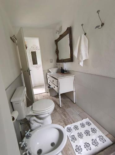 a bathroom with a toilet and a sink and a mirror at La Preta, casa de campo in San Clemente