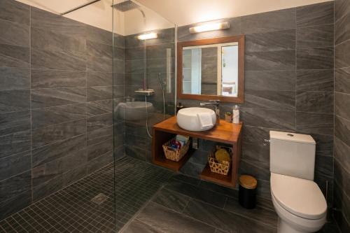 a bathroom with a toilet and a sink and a mirror at Villa Noyanny Piscine Privée Calme in Le Moule