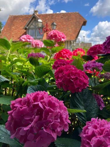 a bunch of flowers in front of a house at L'Ecrin Normand appartement avec jardin comportant 2 lits 2 places et 1 lit 1 place in Cambremer