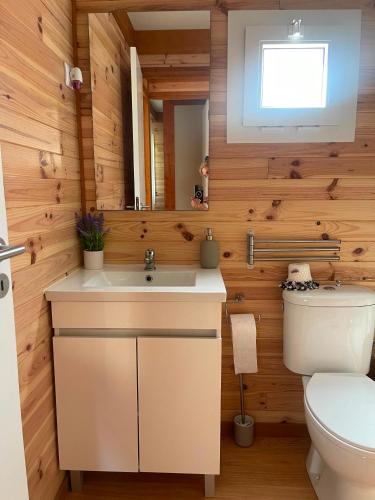 a bathroom with a sink and a toilet at Pedra Douro in Fontelas