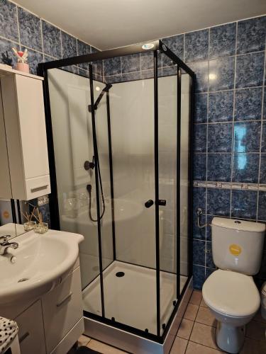 a bathroom with a shower and a toilet and a sink at Studio apartman KOTRO in Beli Manastir