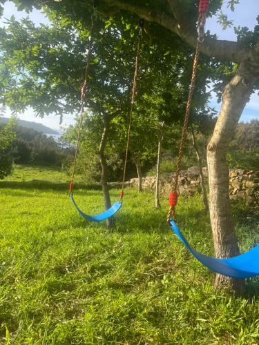 two swings hanging from trees in a park at A Casa da Moucha in Muxia