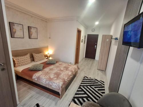 a bedroom with a bed and a flat screen tv at Studio Elvetia in Deva