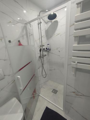 a white bathroom with a shower with a glass door at Apartament Na Głucho in Nysa