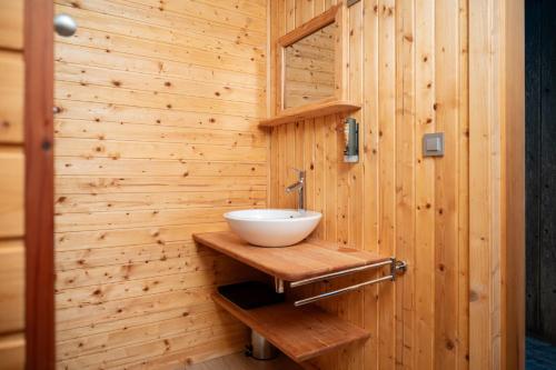 a bathroom with a sink on a wooden wall at Nature's Nest - The Woods in Maribor