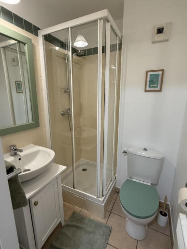 a bathroom with a shower and a toilet and a sink at Superbe appartement 6 personnes in Biscarrosse