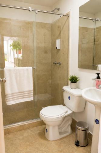 a bathroom with a shower and a toilet and a sink at El Portón de Salento in Salento