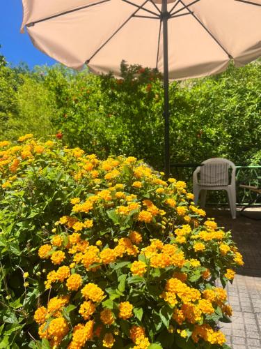 an umbrella and some yellow flowers and a chair at Villa Sveva in Làconi