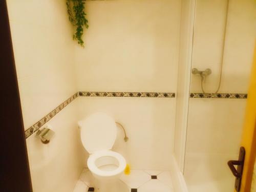 Koupelna v ubytování Penzion Havaj