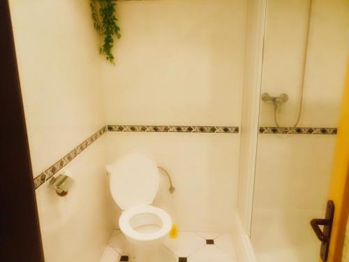 bagno bianco con servizi igienici e doccia di Penzion Havaj a Karlovy Vary