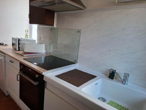 a kitchen with a sink and a counter top at Le refuge des Champeaux in Domecy-sur-le-Vault