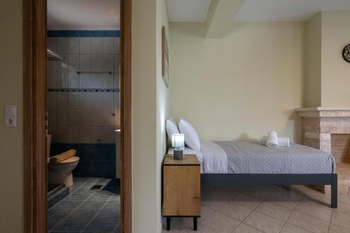a bedroom with a bed and a bathroom with a shower at Anima Horizon-Petra Apartment in Elaiófiton
