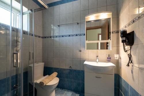 a bathroom with a toilet and a sink and a mirror at Anima Horizon-Petra Apartment in Elaiófiton