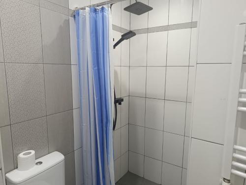 a bathroom with a shower with a blue shower curtain at Apartment in Verin Apart hotel in Dilijan in Dilijan