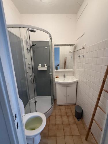 łazienka z prysznicem, toaletą i umywalką w obiekcie Appartement Corte w mieście Corte