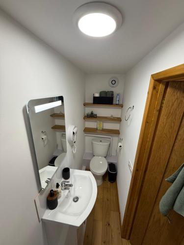 a bathroom with a sink and a toilet and a mirror at Summerhouse in Honington