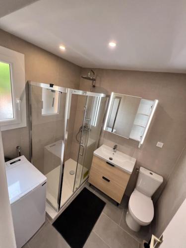 a bathroom with a shower and a toilet and a sink at appartement T2 climatisé proche centre et plage in Cavalaire-sur-Mer