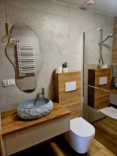 a bathroom with a sink and a toilet and a mirror at Wśród Drzew - Tykocin in Tykocin