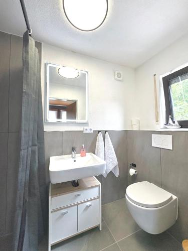a bathroom with a sink and a toilet and a mirror at Gartenstudio Anila in Cochem