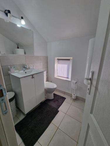 a white bathroom with a toilet and a sink at Cozy Lake House in Cinciş