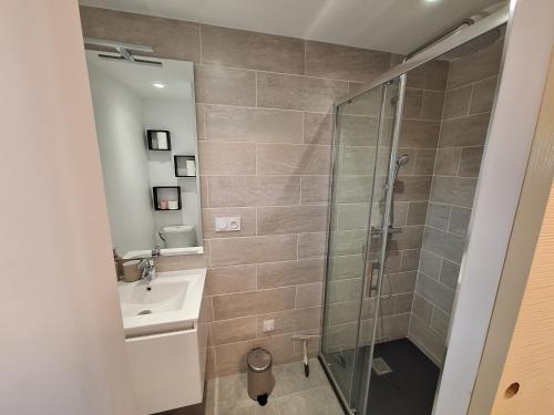 a bathroom with a shower and a sink at La Campanule in Saint-Cyr-en-Pail