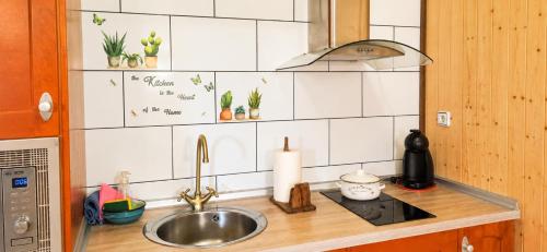 a kitchen with a sink and a counter top with plants at Apartamentos El Guardaviñas in Ábalos