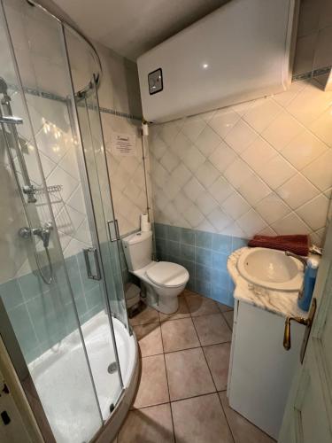 a bathroom with a shower and a toilet and a sink at vue mer Studio 2/3 pers 1 bed + 1 cot in Farinole