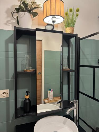 a bathroom with a toilet and a mirror at Petit Cocon des Rives Proche Stanislas-terrasse & parking gratuit in Nancy