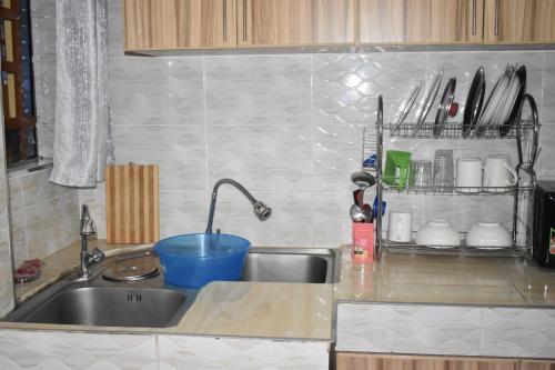a kitchen sink with a blue bowl on it at Unique Place 1 Bedroom Thika in Thika