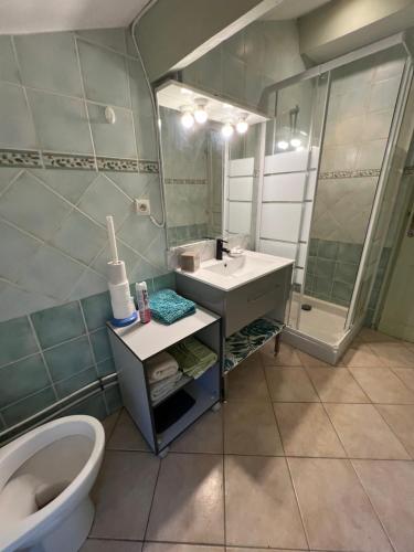 a bathroom with a sink and a toilet and a mirror at appartement 2 bord de mer in Farinole