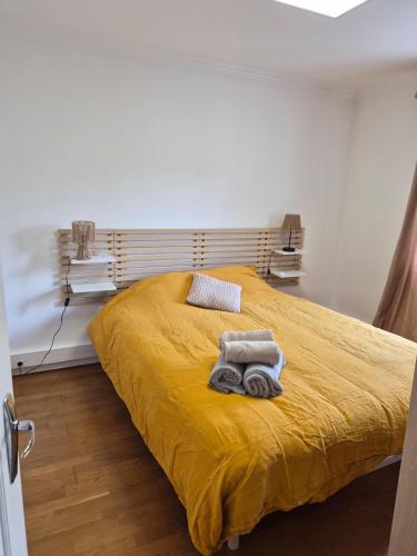 Appartement chic et climatisé à 5 minutes de la gare du Mans