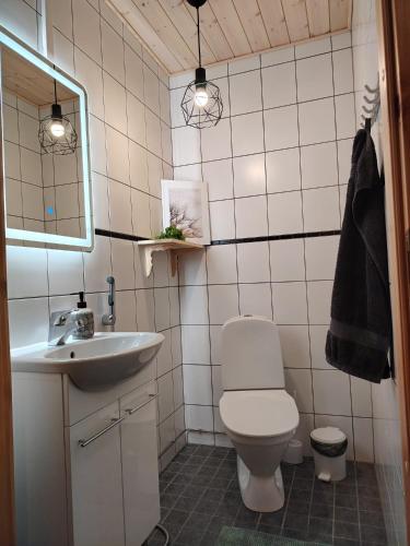 a bathroom with a toilet and a sink at Villa Goahti - Kantokelo in Ylläsjärvi