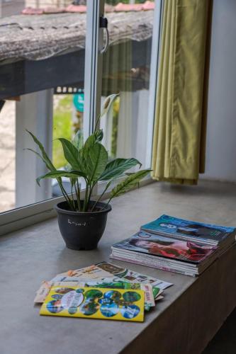 a table with books and a potted plant next to a window at Everdew Kandy in Kandy