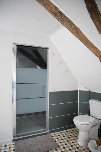 a bathroom with a toilet in a attic at L' Accointance in Semur-en-Auxois