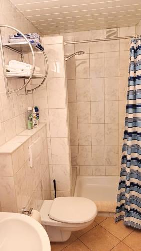a bathroom with a white toilet and a shower at Ferienwohnung Maria in Hörnsheim