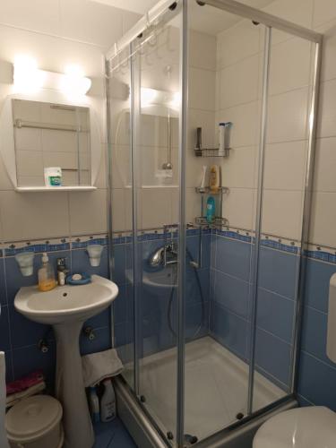a bathroom with a shower and a sink at Lumier Apartment in Zelenika