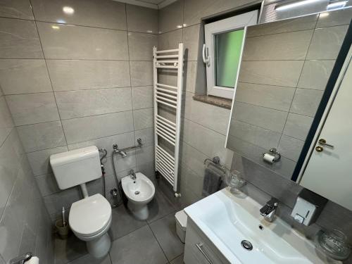 a bathroom with a toilet and a sink and a mirror at Hava apartment in Sarajevo