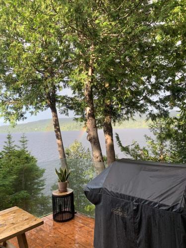 a table with a potted plant on a deck with a view of the water at Chalet ouareau in Saint-Donat-de-Montcalm