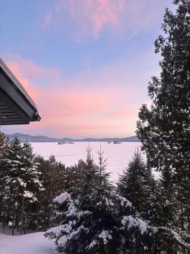 a view of a snow covered lake with trees at Chalet ouareau in Saint-Donat-de-Montcalm