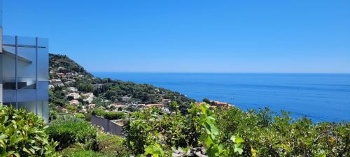 a view of the ocean from a building at Costa Plana apartment with terrace and sea view in Cap d'Ail
