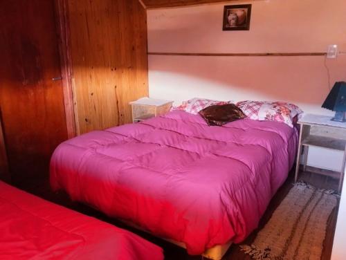 a bedroom with a bed with a cat sitting on it at Alojamiento FARAH in Caviahue