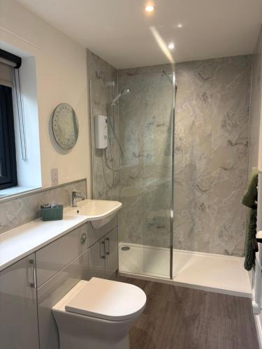 a bathroom with a shower and a toilet and a sink at Hillview Cabin in Oban