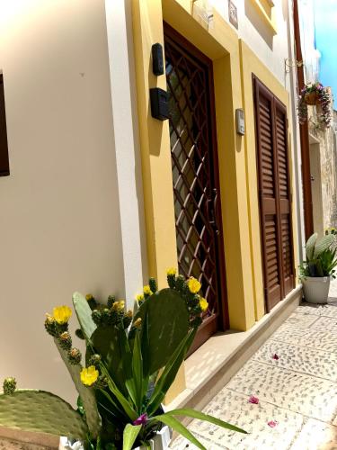 a house with a plant in front of a door at Borgo Antico in Grottaglie